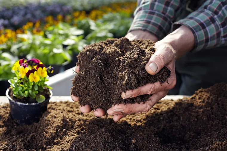 A handful of rich screened soil
