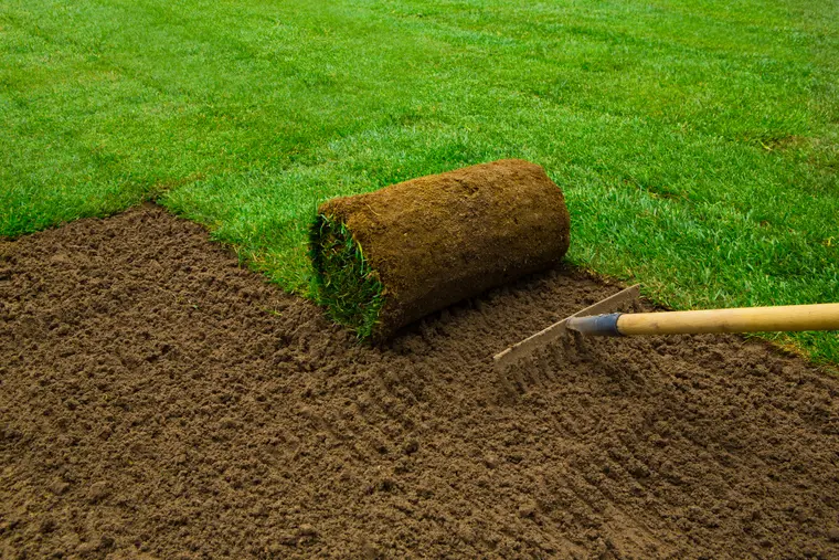 Soils